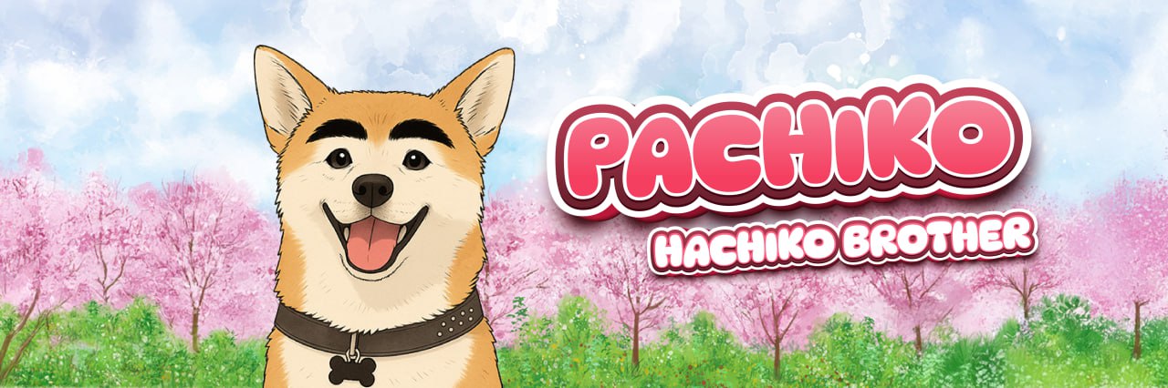 Pachiko Banner